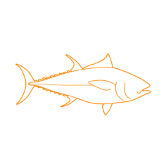 Animals Saltwater Fish Atlantic Bluefishs Tuna Cad Style Svg Vector, Free Vectors File